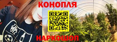 гидропоника Будённовск