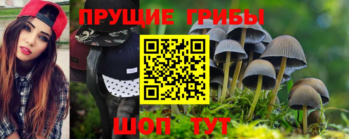 Псилоцибиновые грибы Cubensis  Вход с VPN  Рассказово 